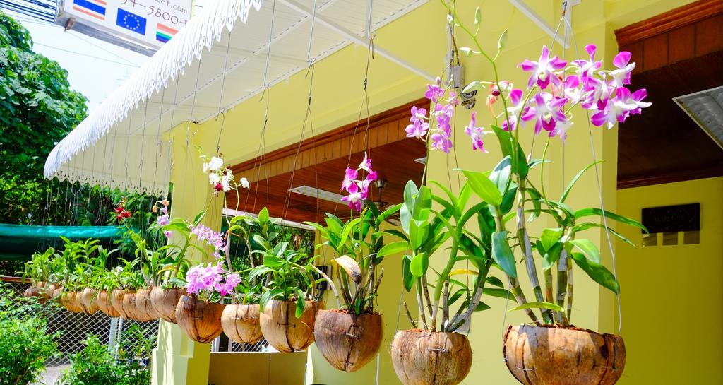 Adonis Guest House Patong Екстер'єр фото